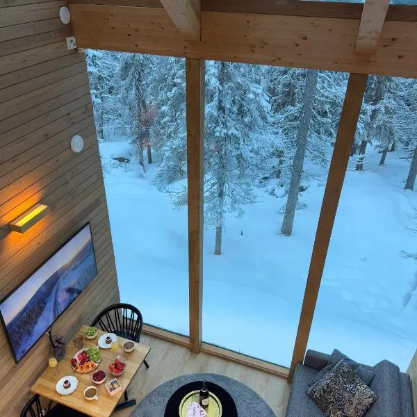 Villa Auroras Karhu, hotel in Syöte