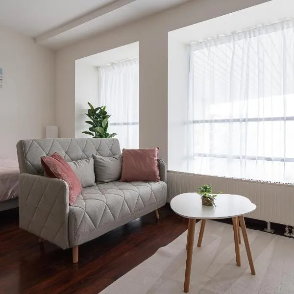 City Light Apartment, hotel in Tallinn