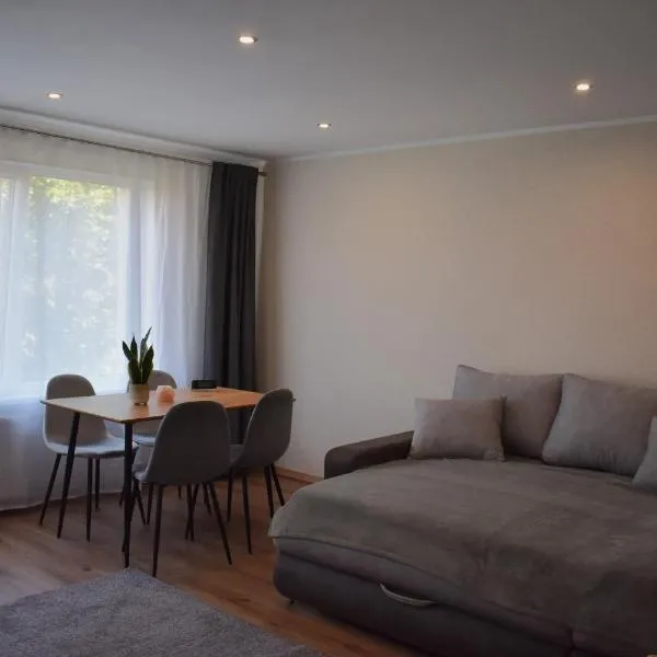 Apartment near the airport, hotell i Rīga