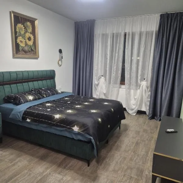 Carul cu Flori, hotel in Craiova