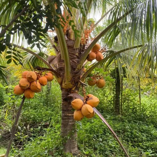 Ba Hung homestay, hotel v destinaci Ấp Hòa Phú (2)