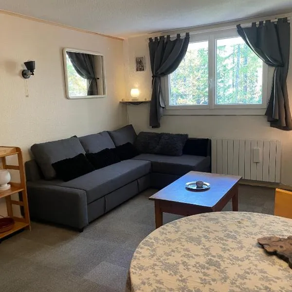 Studio chaleureux 25m2 100m du centre 3-4 personnes, hotel in Vars
