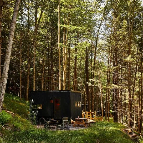 Postcard Cabins Chattahoochee, Outdoor Collection by Marriott Bonvoy, hotel in Suches