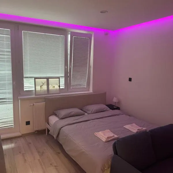 Light apartment near City Center with easy transport access, Hotel in Bratislava