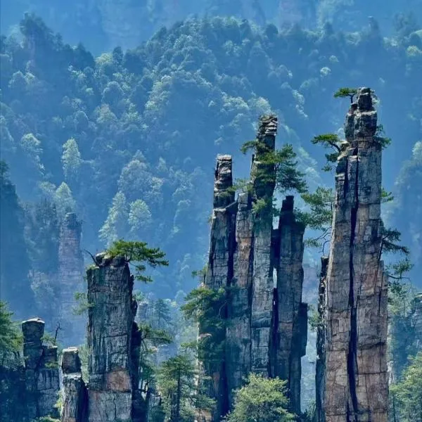 Zhang jia jie gui yuan zhen pin hotel -Approximately 3km away from the east gate of Zhangjiajie National Forest Park,Free Chinese western Breakfast, Attraction Tickets Serivce in advance,Free one-way shuttle service for 4 nights or more, ξενοδοχείο σε Zhangjiajie