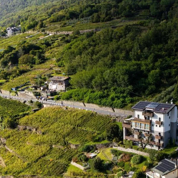 Wine Hotel Retici Balzi, hotel en Poggiridenti