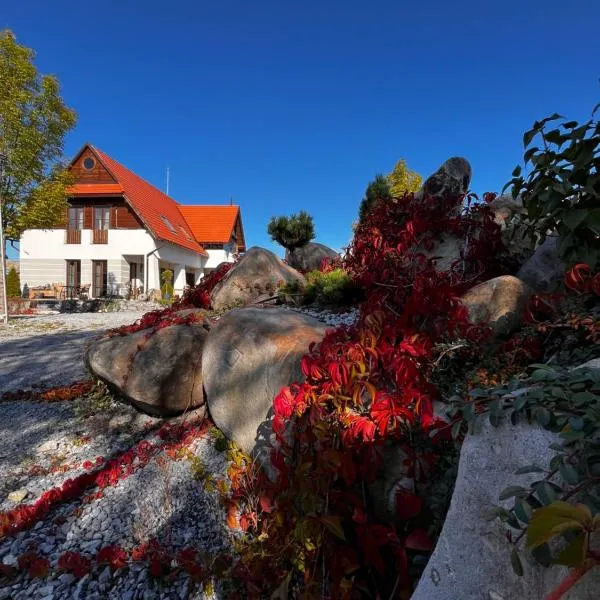 Csató Panzió - Pensiunea Csató, hôtel à Joseni