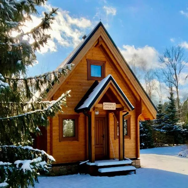 Domki Janosik - Komfortowy domek w górach, na dużej ogrodzonej działce, przyjmujemy psy bezpłatnie, w Łopusznej, niedaleko Nowego Targu i Białki Tatrzańskiej na Podhalu, hotel in Łopuszna