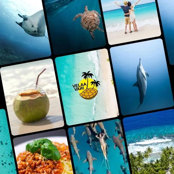 Turtle Hive - Velaa Vani, hotel in Dhiffushi