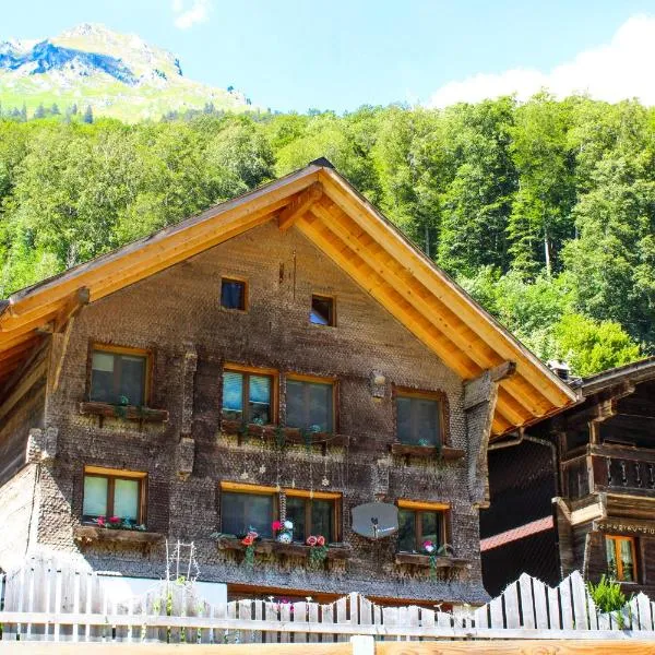 Mys Chalet - Authentique & rénové, hotel in Jaun