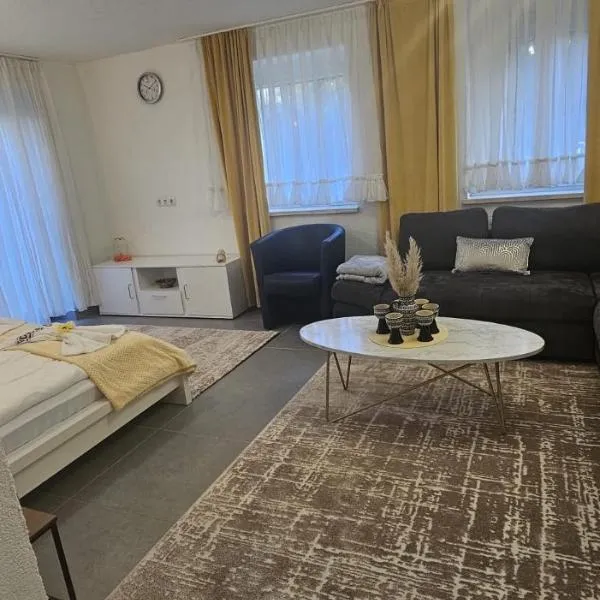 Selma Apartments, ξενοδοχείο στη Δρέσδη