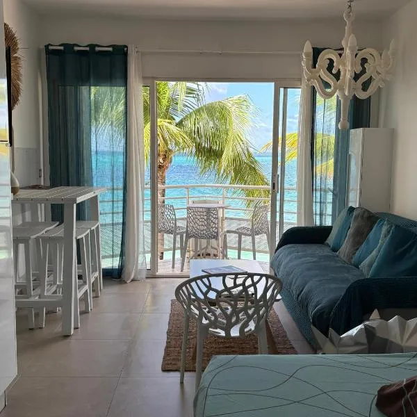 Residence Anse des sables, Hotel in Marigot