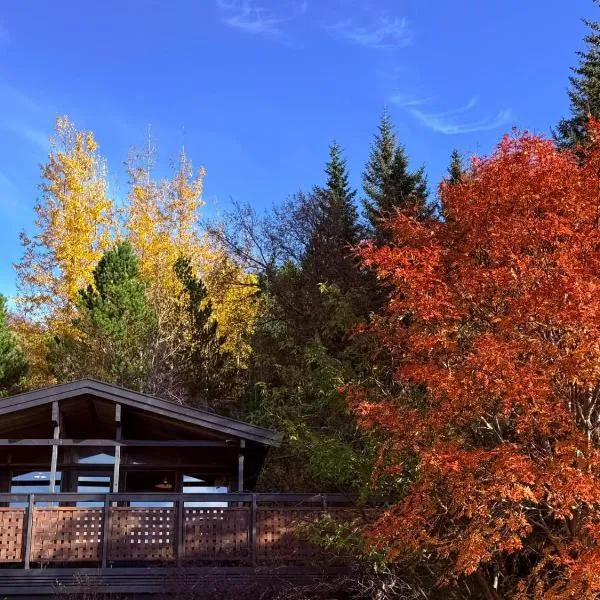 Lovely Cabin in the Capital Area with hot tube, hotel in Hafnarfjördur