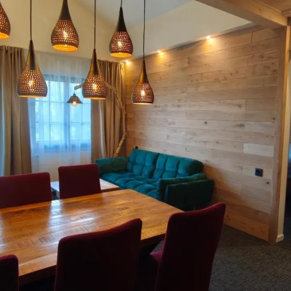 Frostana1600 - apartment in Portes du Soleil, Hotel in Champoussin