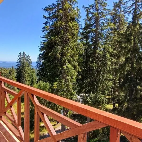 Апартаменти Борови хълмове, hotel en Pamporovo