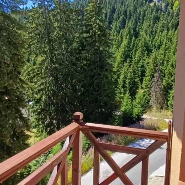 Апартаменти Борови хълмове, hotel a Pamporovo