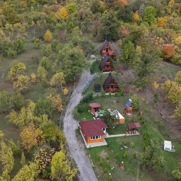 Stelele Coziei, ξενοδοχείο σε Valcea