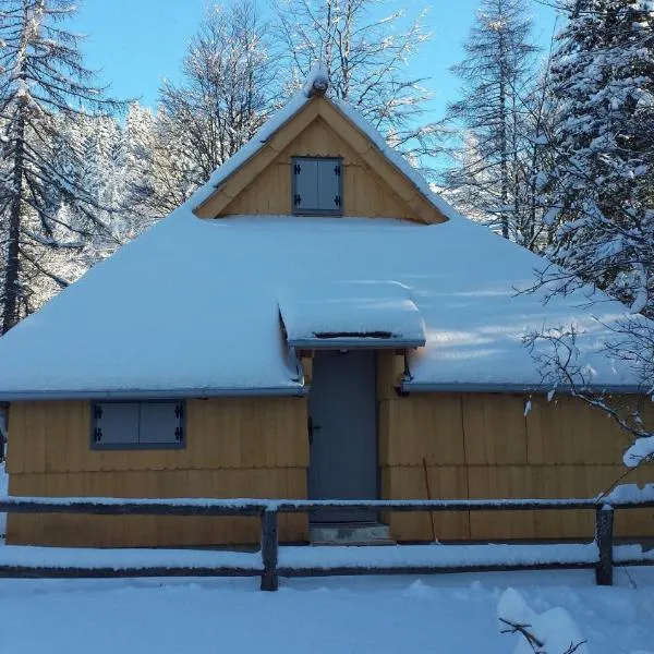 Koča Predilnica Velika Planina, hôtel à Kamniška Bistrica