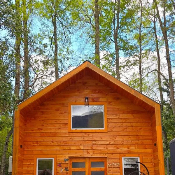 Nordica D, hotel v destinaci Coñaripe