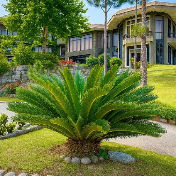 Rock City Resort, hotel em Mingora