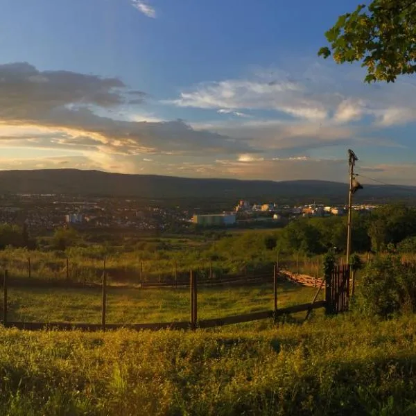 Pension Forstgut Waldeck, hotel v destinaci Ingelheim am Rhein