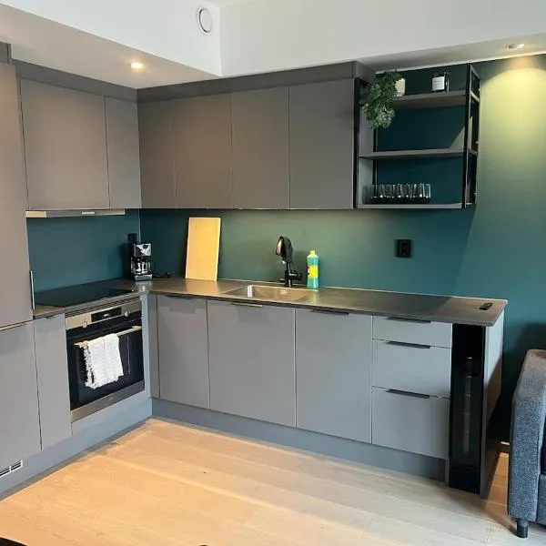 ओस्लो में, होटल Central apartment by Oslo Central Station
