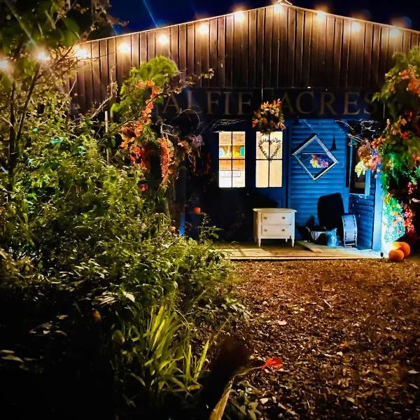 Alfie Acres - Secluded Cabin set in 5 Acres of Privacy, with Exclusive use of Swimming Pool and Hot Tub for up to 10 Guests, hotel in Downham