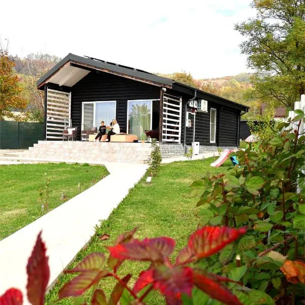 Cabana EvAy, ξενοδοχείο σε Ocnele Mari