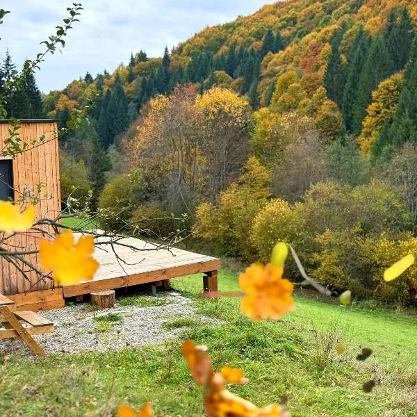 Domček Lazy，位于拉兹波德马伊托的酒店