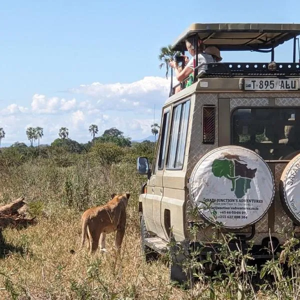 Safari Junction Backpackers hostel, hotel in Iringa