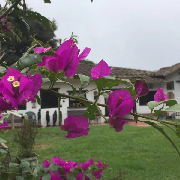 Finca Bello Horizonte Cali,位于卡利的酒店