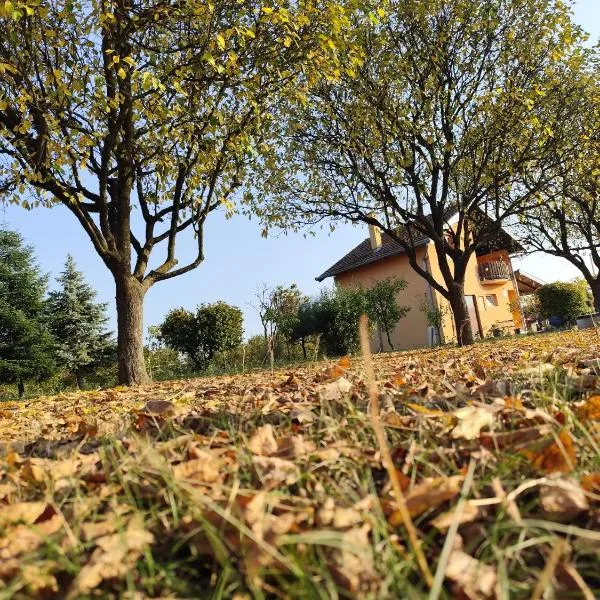 Kuća za odmor Duga, hotell sihtkohas Šušnjevci
