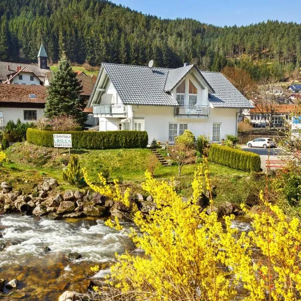 Gästehaus Ursula, hotel in Niederwasser
