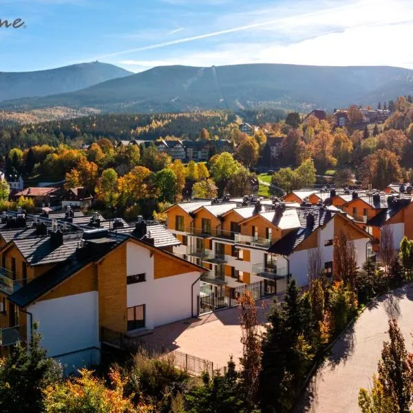 Wonder Home - Apartamenty z widokiem na góry, blisko wyciągów, szlaków turystycznych i restauracji, hôtel à Karpacz
