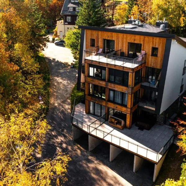 Wonder Home - Orlik Residence - blisko Ski Arena, Kościółka Wang i szlaków, Hotel in Karpacz