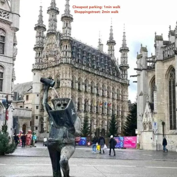 Cosy Boutique hotel leuven - self check in with airco !!!, khách sạn ở Leuven