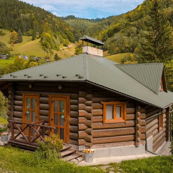 Camp Bilyi Slon, hotel in Dzembronia