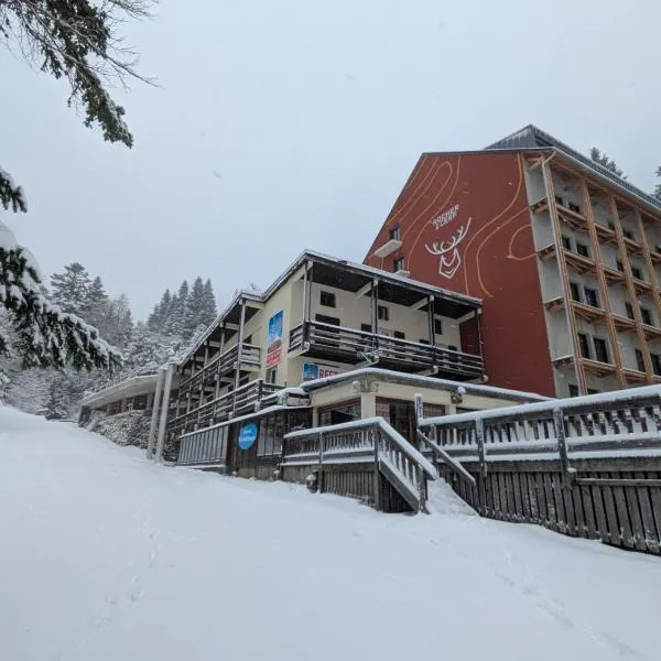 Le Rocher Du Cerf, hotel in Le Lioran