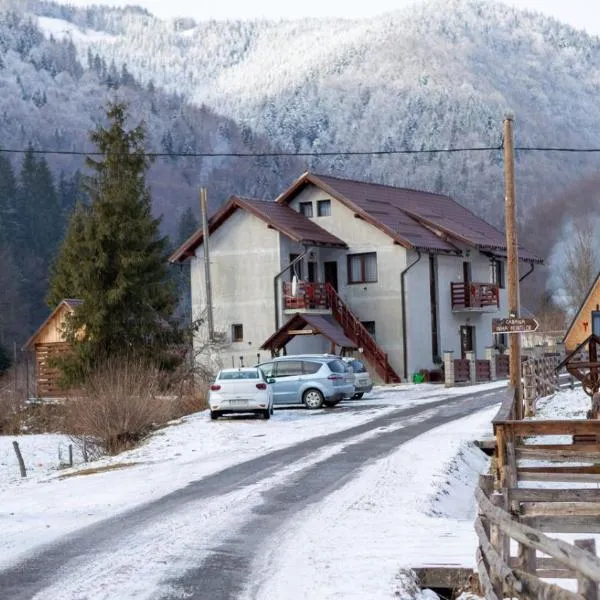 Cabana Acasă la Delia, hotel in Gîrda de Sus