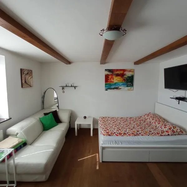 Private house near Terme Čatež, hotel in Cerklje ob Krki