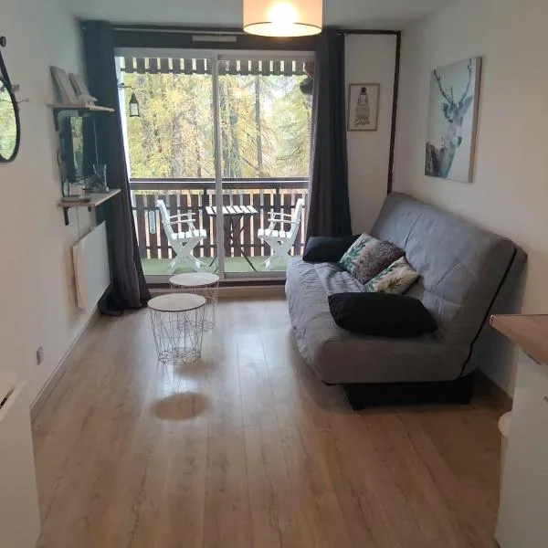 La Foux d'Allos STUDIO 4 PERSONNES 23m2 résidence les Etoiles, hotel v destinaci Allos