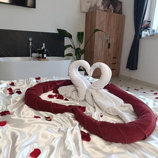 Roztoczańskie Apartamenty,位于兹维日涅茨的酒店