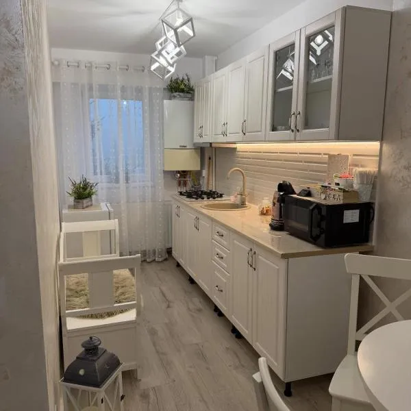 Yan Home Studio, hotel in Predeal