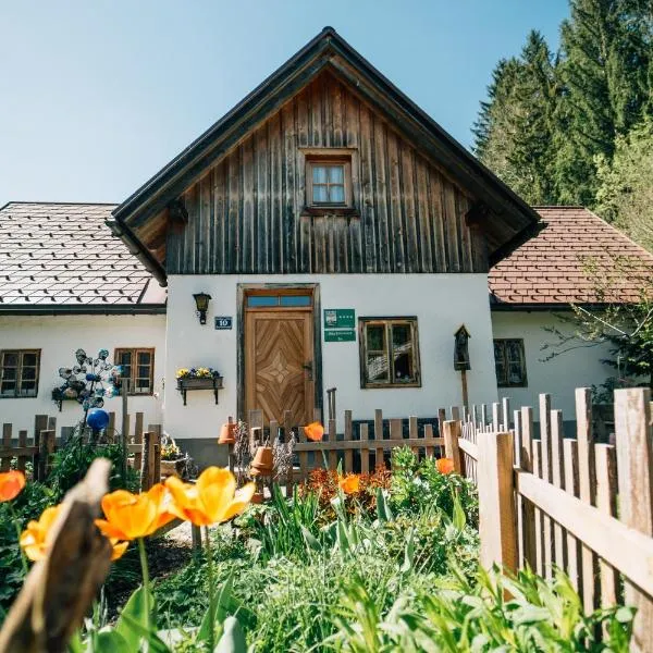 Ferienhaus Lenzau, hotel v destinaci Strohmarkt