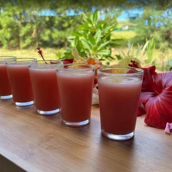 Refugio Rivarahi, hotel in Hanga Roa