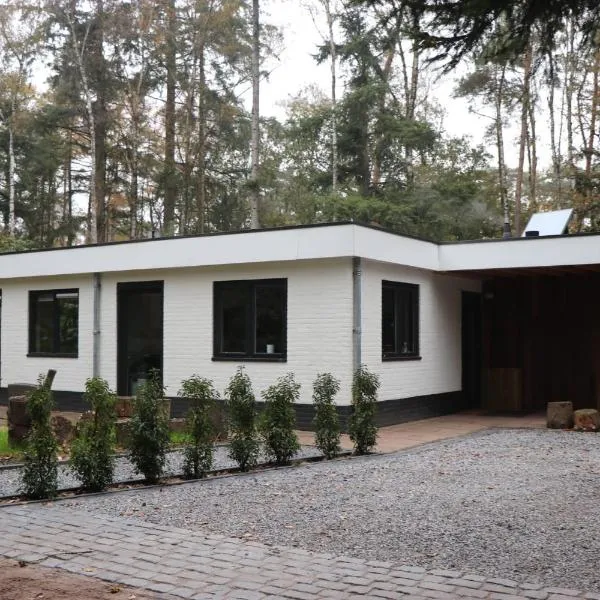 Kindvriendelijke bungalow in het bos bij zwemmeer., Hotel in Vilsteren