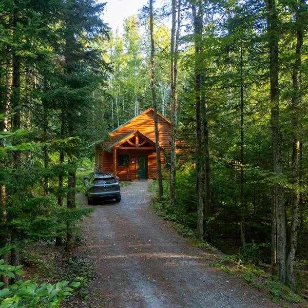 Viesnīca Robert Frost Mountain Cabins pilsētā Midlberi