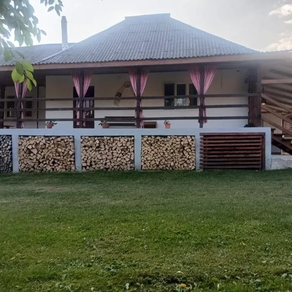 Casa Dyasof, Hotel in Rohia