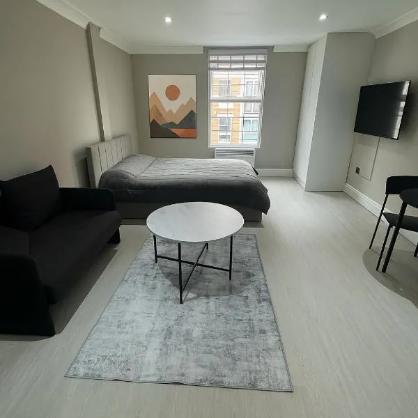 Modern Studio Apartment Shoreditch, hotel in London