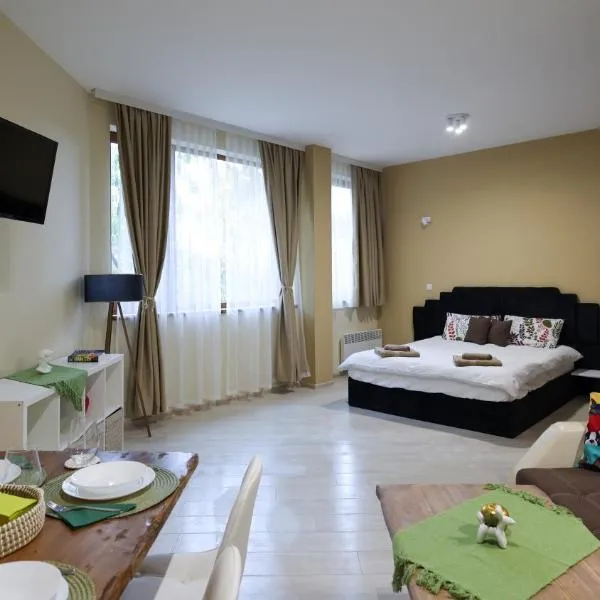 Студио Young Gogh, hotel en Pamporovo